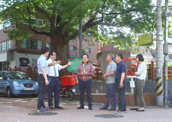 박인섭 부의장, 문정1동 느티나무 지정보호수 쉼터 개선사업 현장점검 - 14