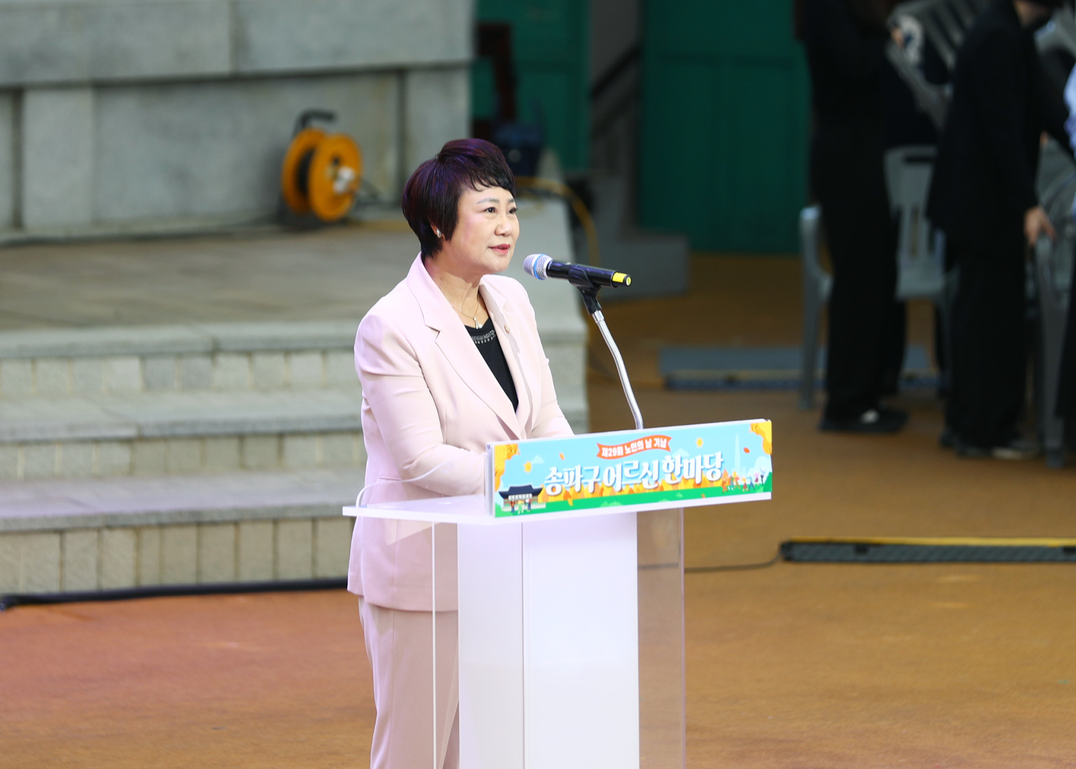 제29회 노인의 날 기념 송파구 어르신 한마당 - 2