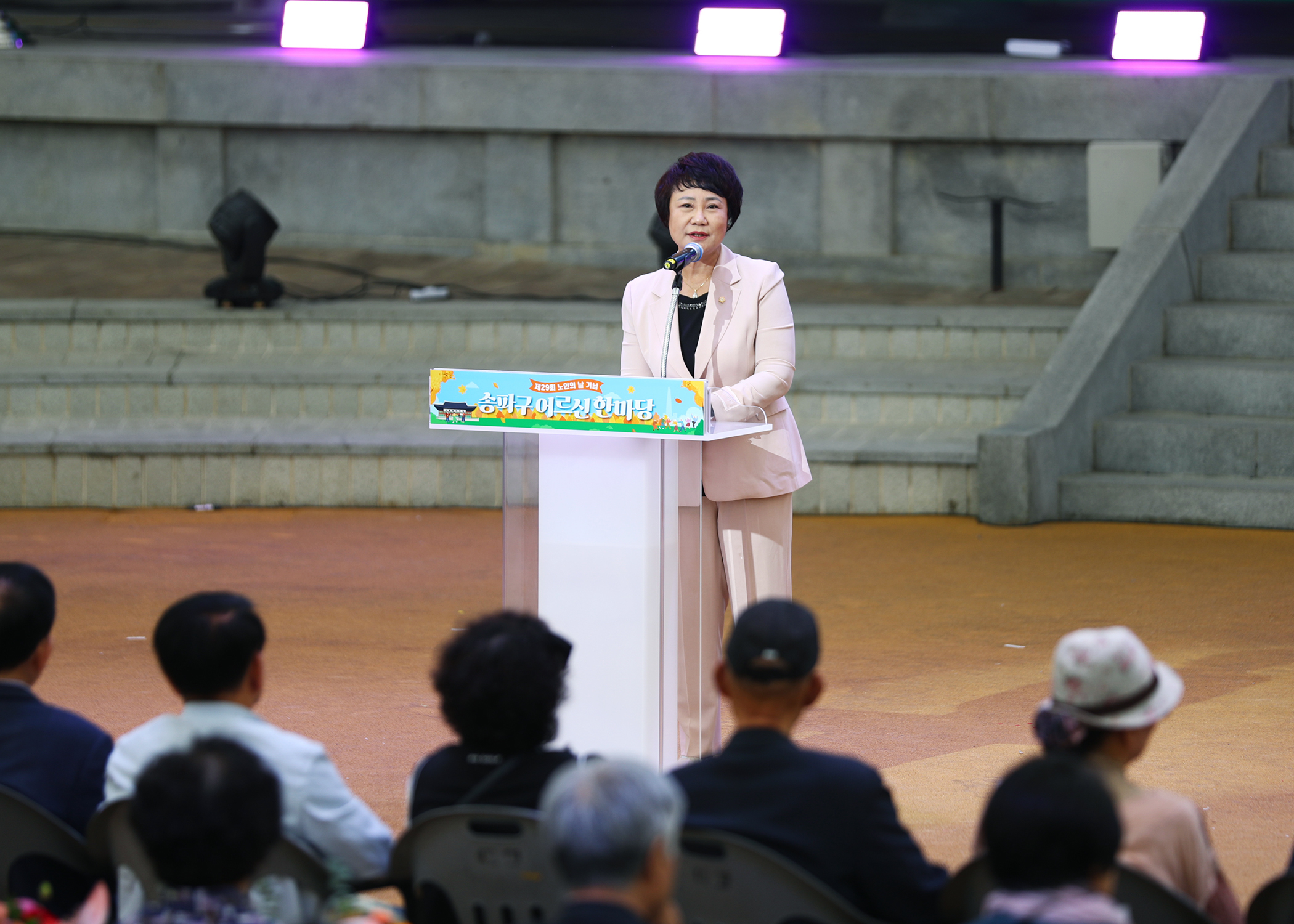 제29회 노인의 날 기념 송파구 어르신 한마당 - 4