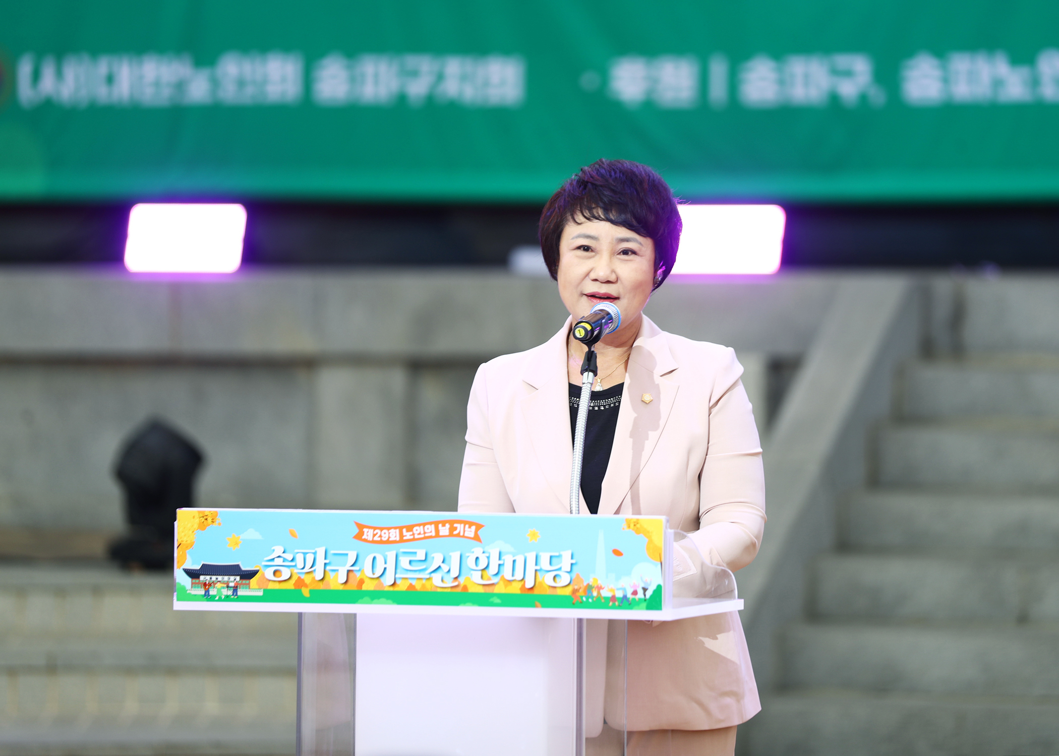 제29회 노인의 날 기념 송파구 어르신 한마당 - 1