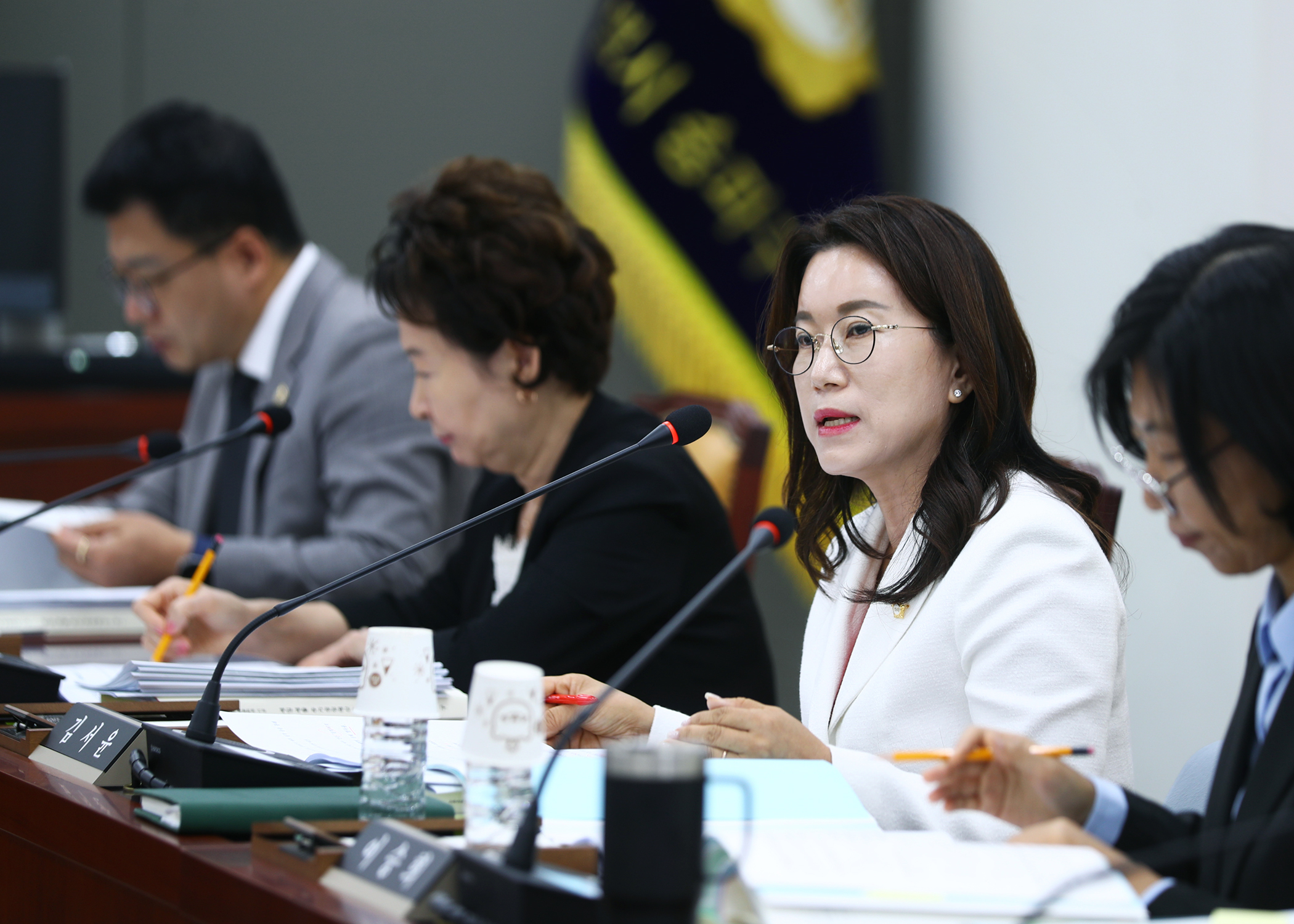 제334회 임시회 행정교육위원회 - 4