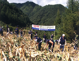 2003.9.22 강원도 정선군에서 수해복구 활동