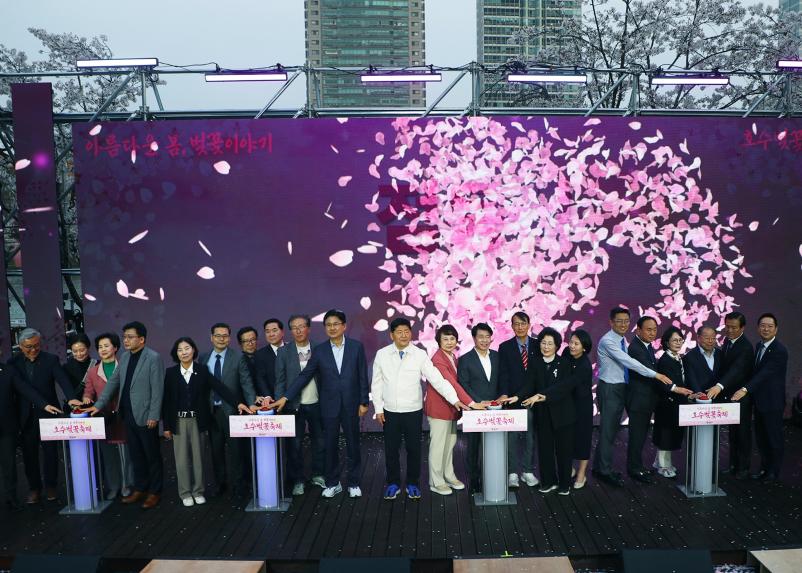 호수벚꽃축제